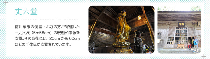 丈六堂 徳川家康の側室・お万の方が寄進した一丈六尺（5m58cm）の釈迦如来像を安置。その背後には、20cmから60cmほどの千体仏が安置されています。